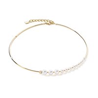 Necklace Coeur De Lion in Steel 1102/10-1416